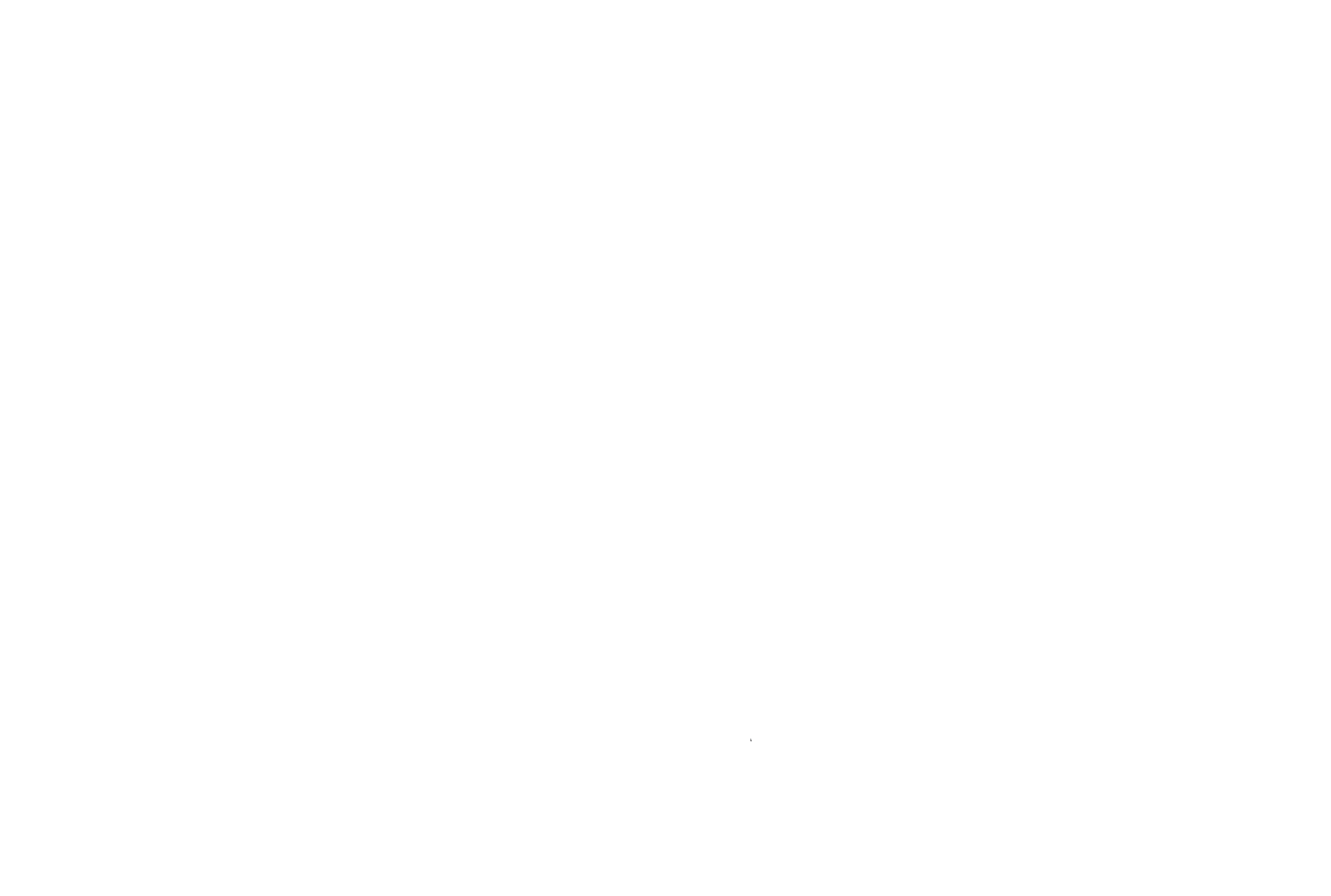 City Services Logo_white